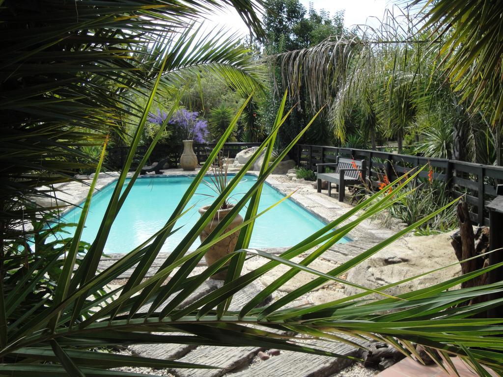 Pine Tree Lodge Midrand Luaran gambar