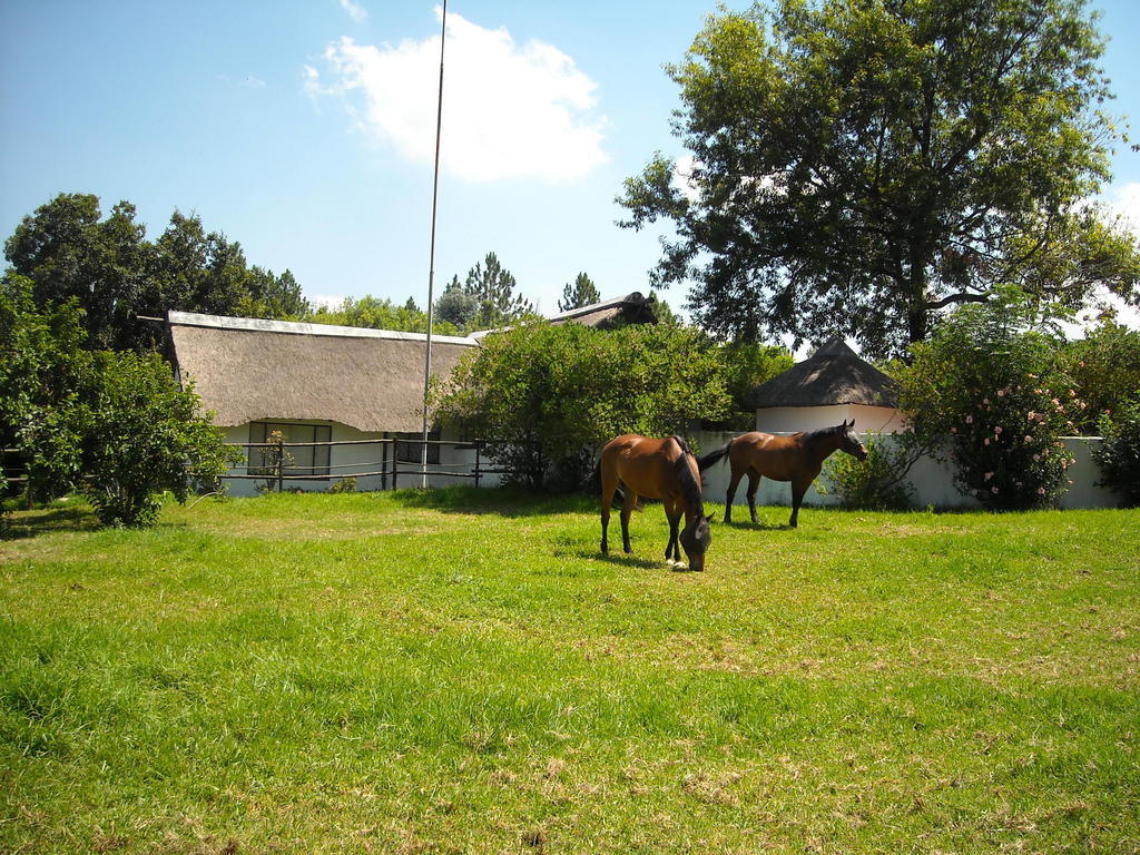 Pine Tree Lodge Midrand Luaran gambar
