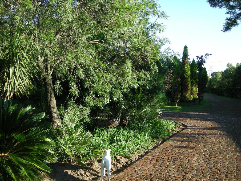 Pine Tree Lodge Midrand Luaran gambar