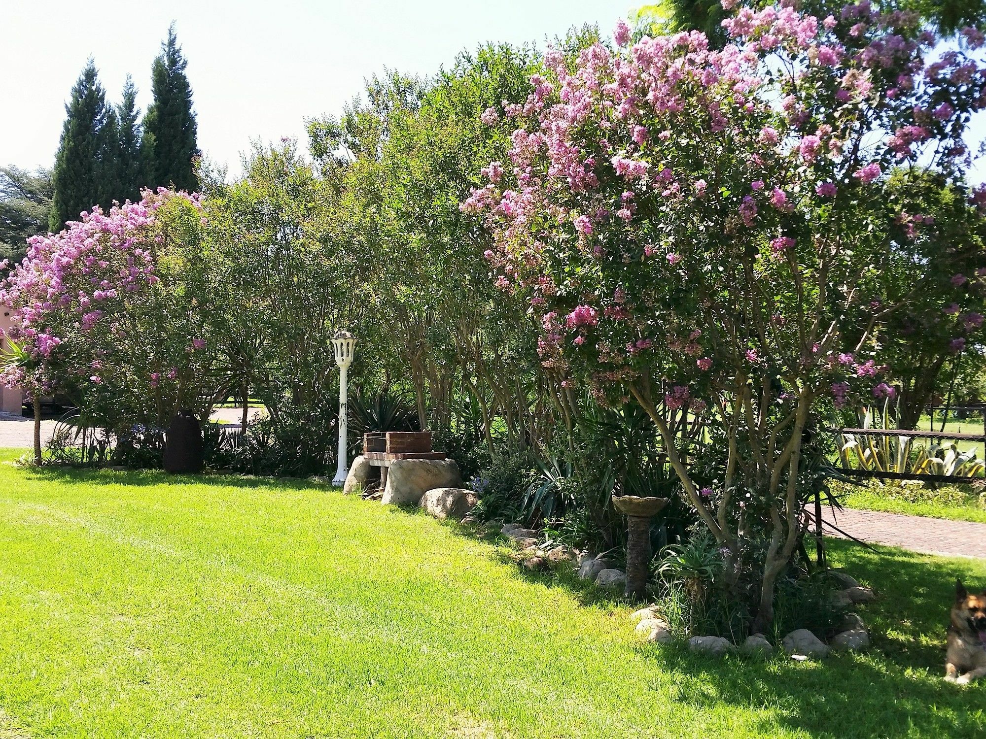 Pine Tree Lodge Midrand Luaran gambar